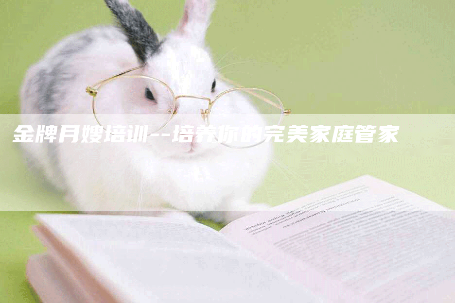 金牌月嫂培训--培养你的完美家庭管家