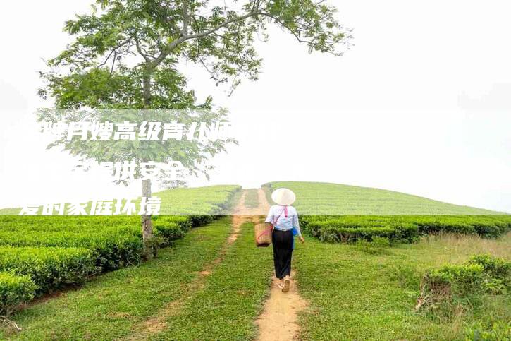 金牌月嫂高级育儿师护理：给宝宝提供安全、温暖、关爱的家庭环境