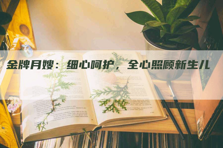 金牌月嫂：细心呵护，全心照顾新生儿-住家保姆月嫂服务_家政保洁钟点工家政服务_速上门月嫂网首页
