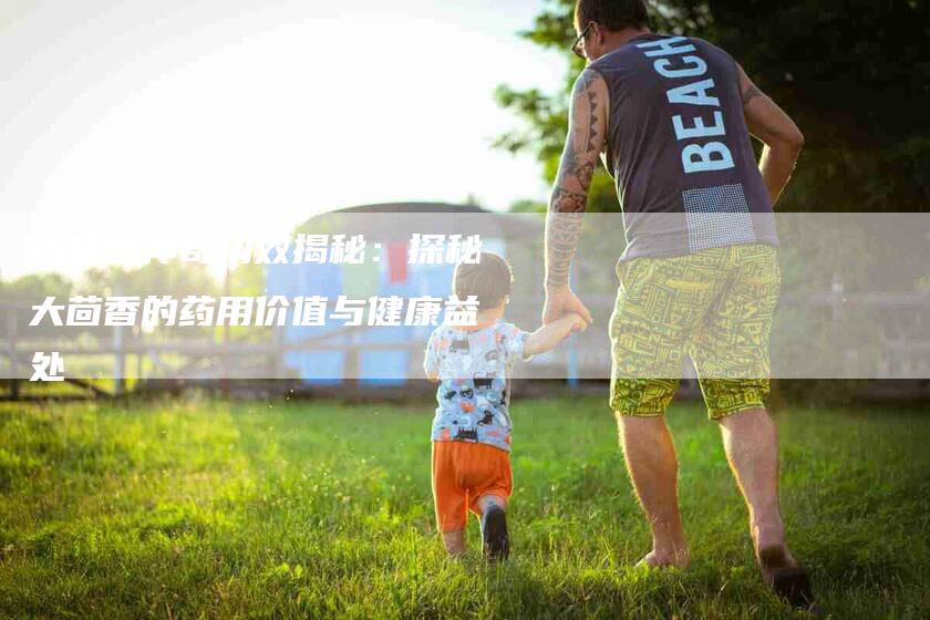 大茴香神奇功效揭秘：探秘大茴香的药用价值与健康益处-住家保姆月嫂服务_家政保洁钟点工家政服务_速上门月嫂网首页