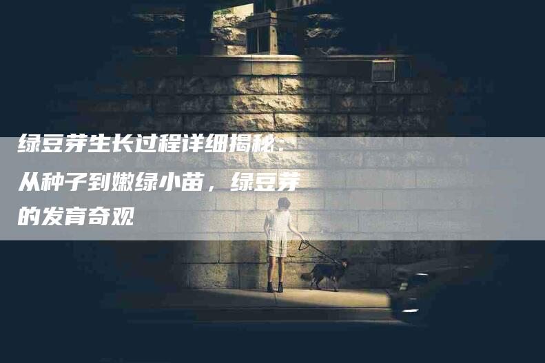 绿豆芽生长过程详细揭秘：从种子到嫩绿小苗，绿豆芽的发育奇观-住家保姆月嫂服务_家政保洁钟点工家政服务_速上门月嫂网首页
