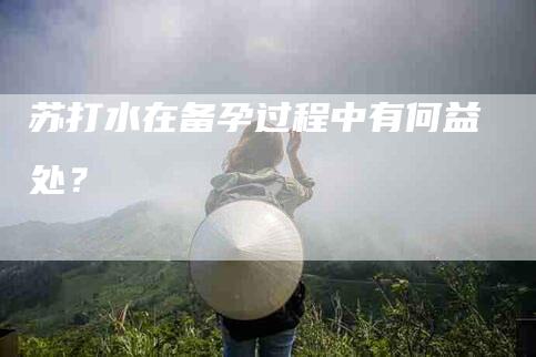 苏打水在备孕过程中有何益处？-住家保姆月嫂服务_家政保洁钟点工家政服务_速上门月嫂网首页