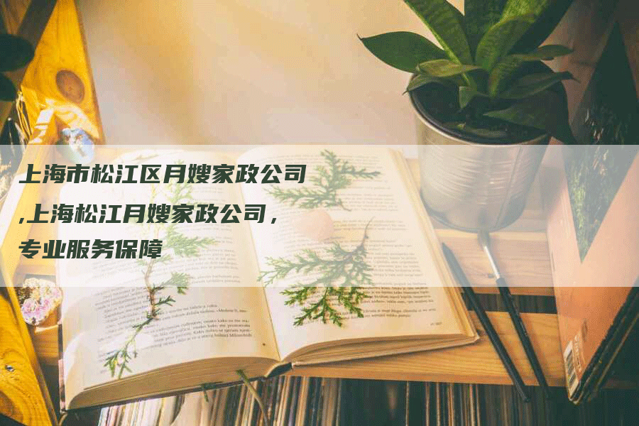 上海市松江区月嫂家政公司,上海松江月嫂家政公司，专业服务保障