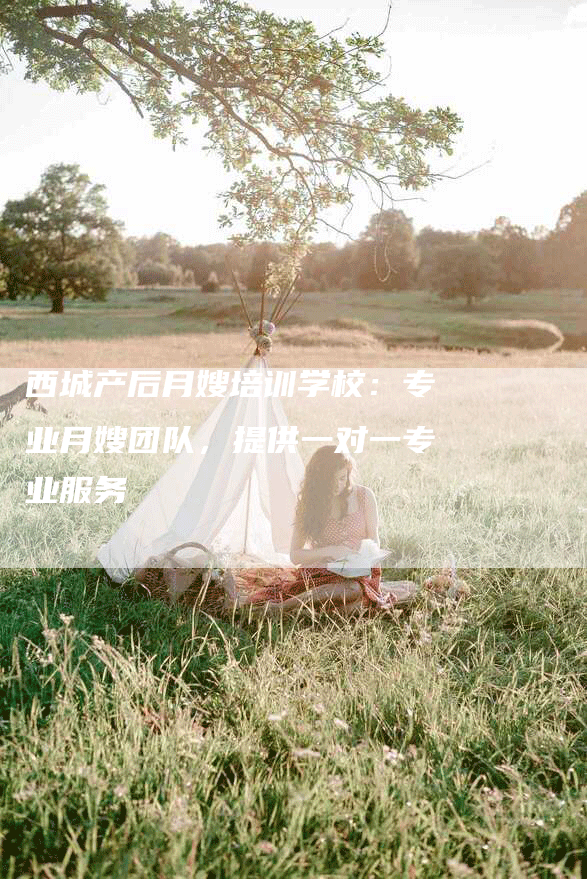 西城产后月嫂培训学校：专业月嫂团队，提供一对一专业服务