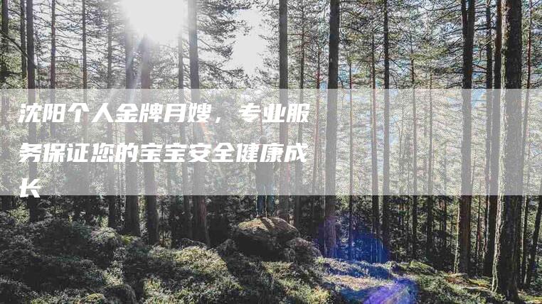 沈阳个人金牌月嫂，专业服务保证您的宝宝安全健康成长