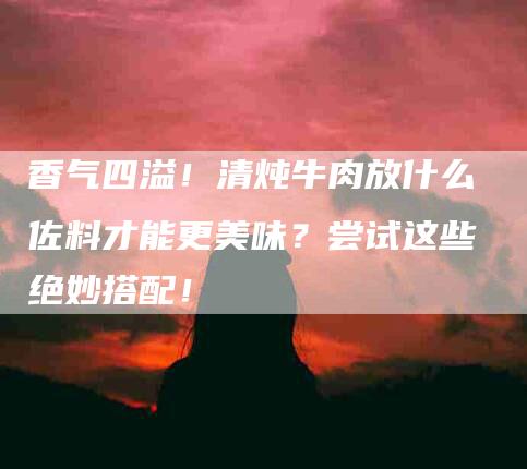 香气四溢！清炖牛肉放什么佐料才能更美味？尝试这些绝妙搭配！