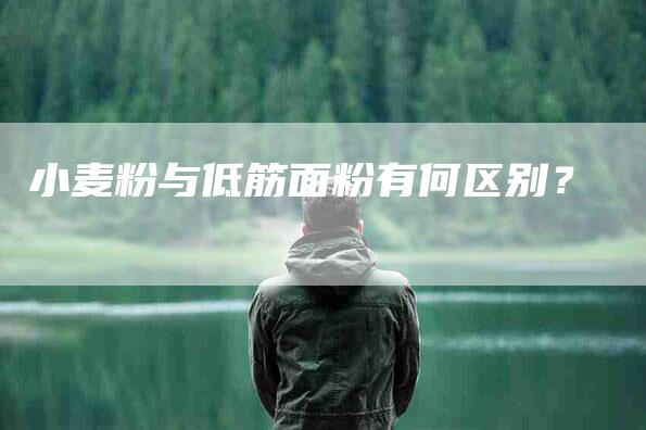 小麦粉与低筋面粉有何区别？-住家保姆月嫂服务_家政保洁钟点工家政服务_速上门月嫂网首页