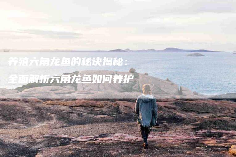 养殖六角龙鱼的秘诀揭秘：全面解析六角龙鱼如何养护-住家保姆月嫂服务_家政保洁钟点工家政服务_速上门月嫂网首页
