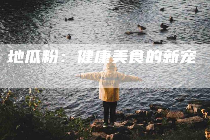 地瓜粉：健康美食的新宠