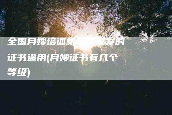 全国月嫂培训机构哪家发的证书通用(月嫂证书有几个等级)-住家保姆月嫂服务_家政保洁钟点工家政服务_速上门月嫂网首页