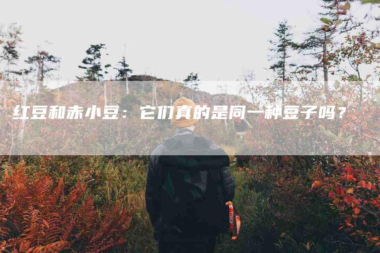 红豆和赤小豆：它们真的是同一种豆子吗？