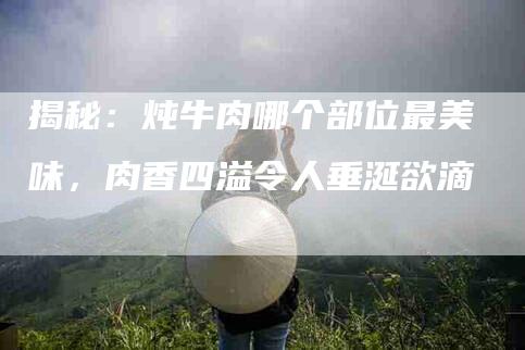 揭秘：炖牛肉哪个部位最美味，肉香四溢令人垂涎欲滴