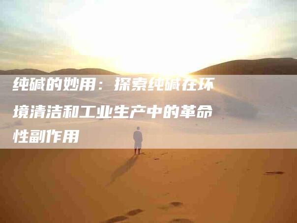 纯碱的妙用：探索纯碱在环境清洁和工业生产中的革命性副作用-住家保姆月嫂服务_家政保洁钟点工家政服务_速上门月嫂网首页