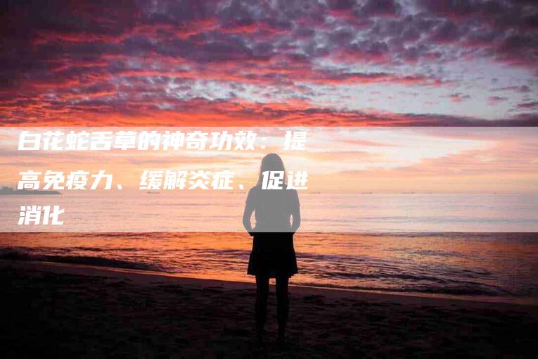 白花蛇舌草的神奇功效：提高免疫力、缓解炎症、促进消化