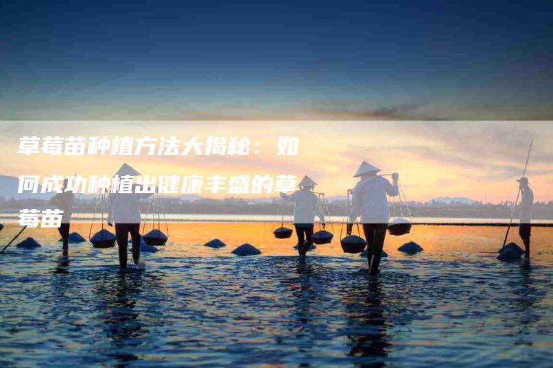草莓苗种植方法大揭秘：如何成功种植出健康丰盛的草莓苗-住家保姆月嫂服务_家政保洁钟点工家政服务_速上门月嫂网首页