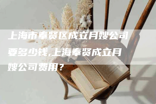 上海市奉贤区成立月嫂公司要多少钱,上海奉贤成立月嫂公司费用？