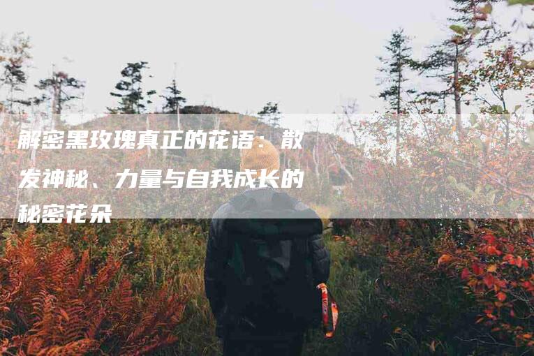 解密黑玫瑰真正的花语：散发神秘、力量与自我成长的秘密花朵