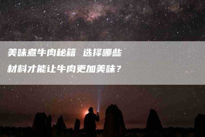 美味煮牛肉秘籍 选择哪些材料才能让牛肉更加美味？