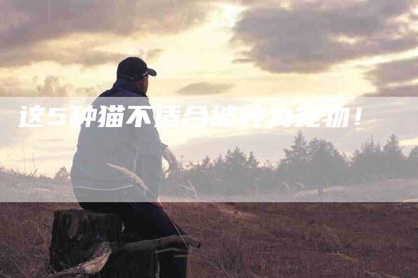 这5种猫不适合被养为宠物！-住家保姆月嫂服务_家政保洁钟点工家政服务_速上门月嫂网首页