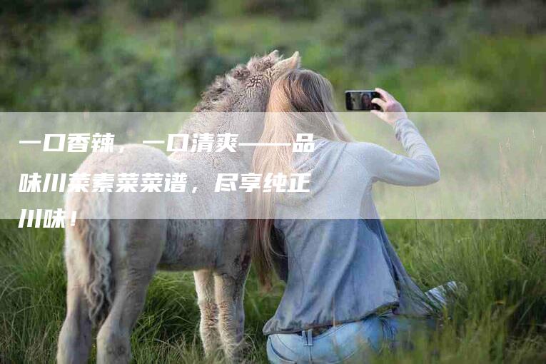 一口香辣，一口清爽——品味川菜素菜菜谱，尽享纯正川味！-住家保姆月嫂服务_家政保洁钟点工家政服务_速上门月嫂网首页