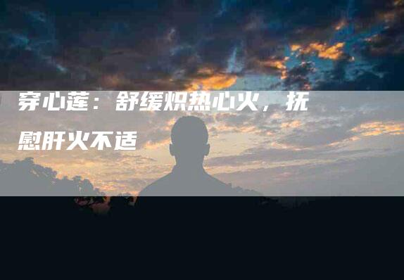 穿心莲：舒缓炽热心火，抚慰肝火不适