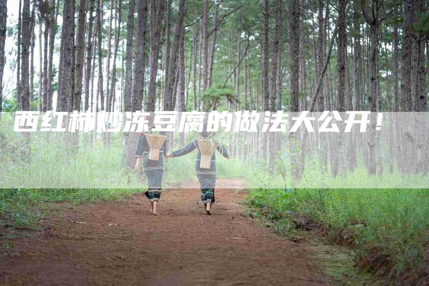 西红柿炒冻豆腐的做法大公开！-住家保姆月嫂服务_家政保洁钟点工家政服务_速上门月嫂网首页