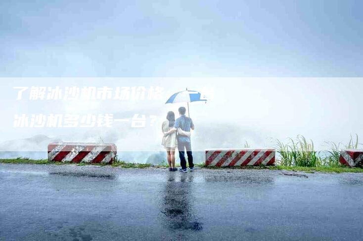 了解冰沙机市场价格：一台冰沙机多少钱一台？