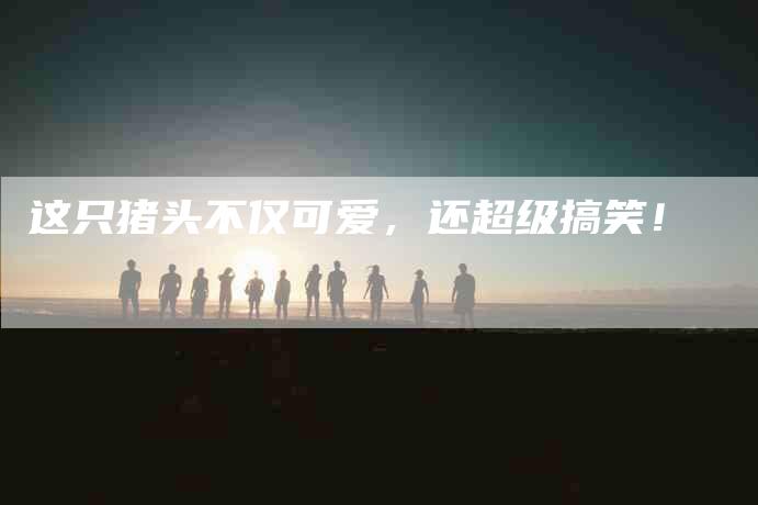 这只猪头不仅可爱，还超级搞笑！-住家保姆月嫂服务_家政保洁钟点工家政服务_速上门月嫂网首页