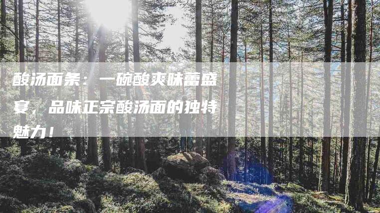 酸汤面条：一碗酸爽味蕾盛宴，品味正宗酸汤面的独特魅力！-住家保姆月嫂服务_家政保洁钟点工家政服务_速上门月嫂网首页