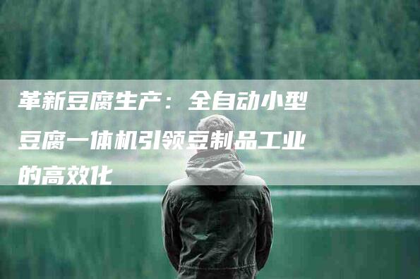 革新豆腐生产：全自动小型豆腐一体机引领豆制品工业的高效化-住家保姆月嫂服务_家政保洁钟点工家政服务_速上门月嫂网首页