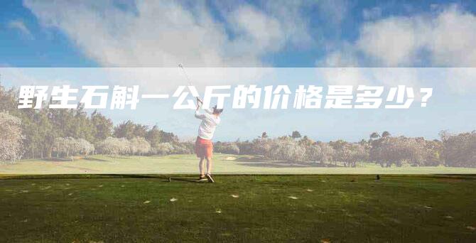 野生石斛一公斤的价格是多少？