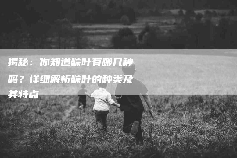 揭秘：你知道粽叶有哪几种吗？详细解析粽叶的种类及其特点-住家保姆月嫂服务_家政保洁钟点工家政服务_速上门月嫂网首页
