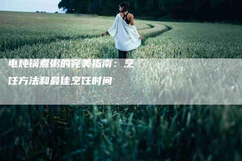 电炖锅煮粥的完美指南：烹饪方法和最佳烹饪时间