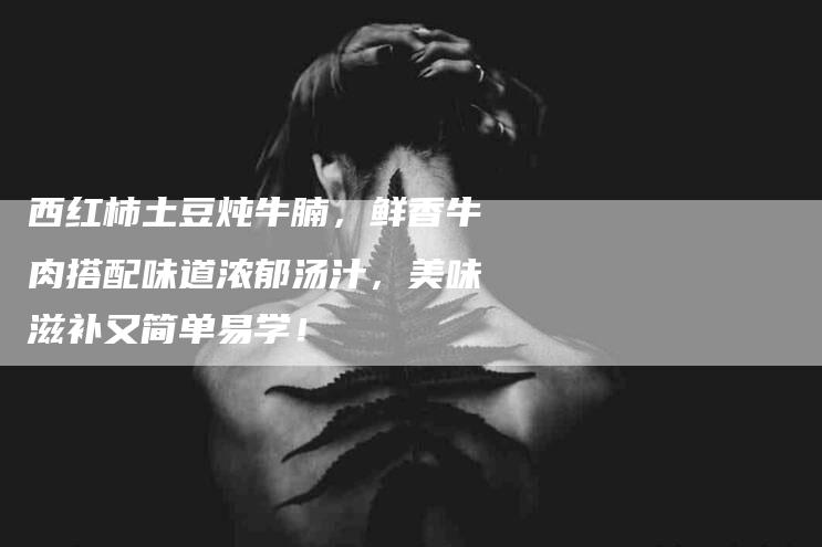 西红柿土豆炖牛腩，鲜香牛肉搭配味道浓郁汤汁，美味滋补又简单易学！-住家保姆月嫂服务_家政保洁钟点工家政服务_速上门月嫂网首页