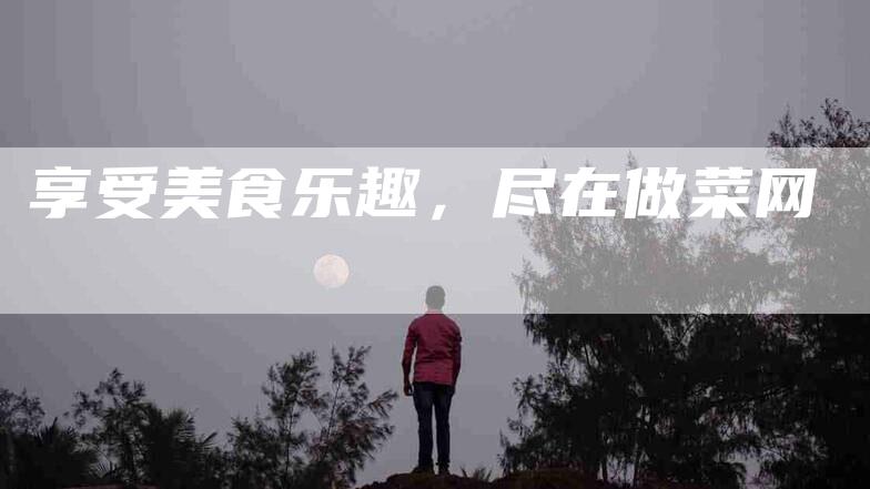 享受美食乐趣，尽在做菜网