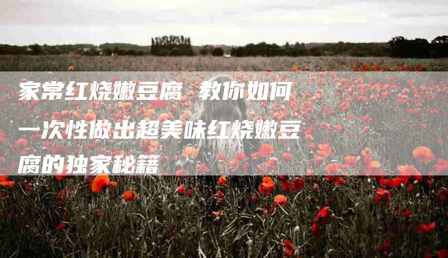 家常红烧嫩豆腐 教你如何一次性做出超美味红烧嫩豆腐的独家秘籍-住家保姆月嫂服务_家政保洁钟点工家政服务_速上门月嫂网首页