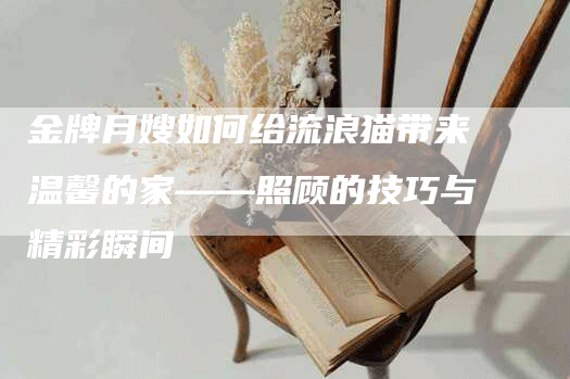 金牌月嫂如何给流浪猫带来温馨的家——照顾的技巧与精彩瞬间