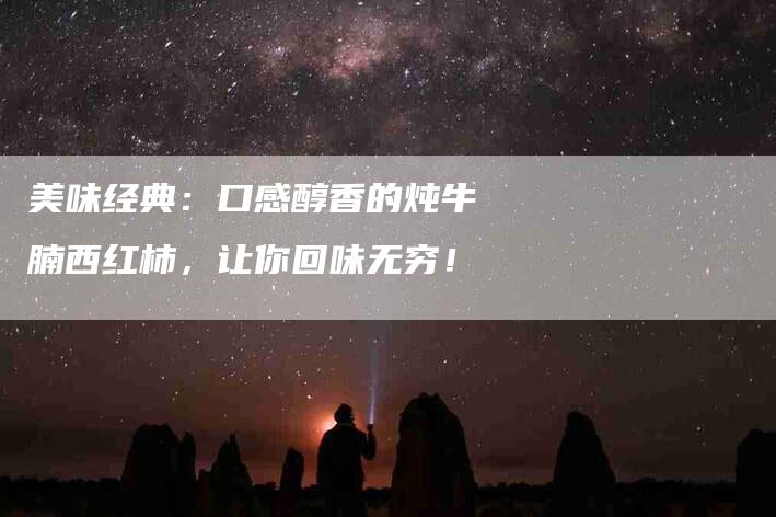 美味经典：口感醇香的炖牛腩西红柿，让你回味无穷！