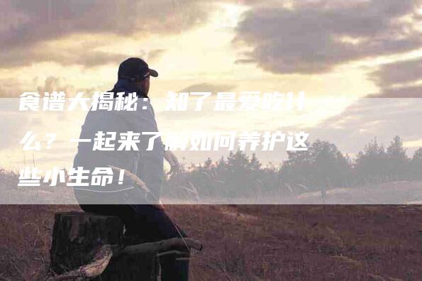 食谱大揭秘：知了最爱吃什么？一起来了解如何养护这些小生命！-住家保姆月嫂服务_家政保洁钟点工家政服务_速上门月嫂网首页