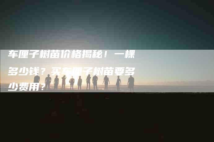 车厘子树苗价格揭秘！一棵多少钱？买车厘子树苗要多少费用？-住家保姆月嫂服务_家政保洁钟点工家政服务_速上门月嫂网首页