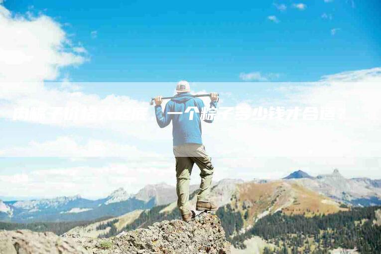 肉粽子价格大起底，一个粽子多少钱才合适？-住家保姆月嫂服务_家政保洁钟点工家政服务_速上门月嫂网首页