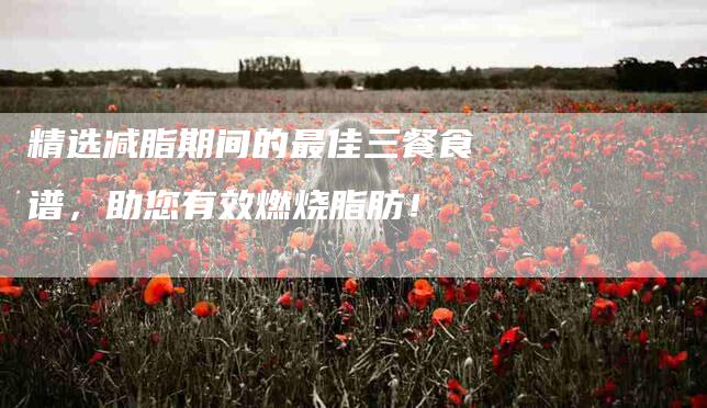 精选减脂期间的最佳三餐食谱，助您有效燃烧脂肪！-住家保姆月嫂服务_家政保洁钟点工家政服务_速上门月嫂网首页