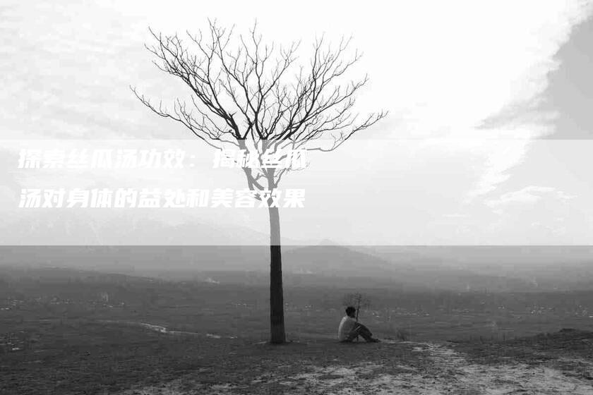 探索丝瓜汤功效：揭秘丝瓜汤对身体的益处和美容效果-住家保姆月嫂服务_家政保洁钟点工家政服务_速上门月嫂网首页