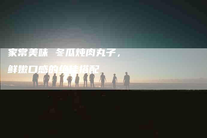 家常美味 冬瓜炖肉丸子，鲜嫩口感的绝佳搭配-住家保姆月嫂服务_家政保洁钟点工家政服务_速上门月嫂网首页