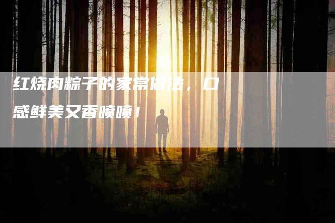 红烧肉粽子的家常做法，口感鲜美又香喷喷！