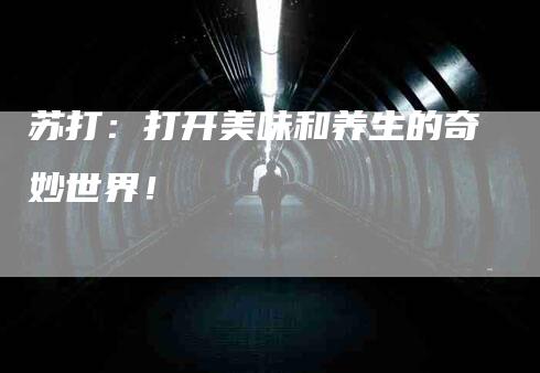 苏打:打开美味和养生的奇妙世界!-住家保姆月嫂服务_家政保洁钟点工家政服务_速上门月嫂网首页