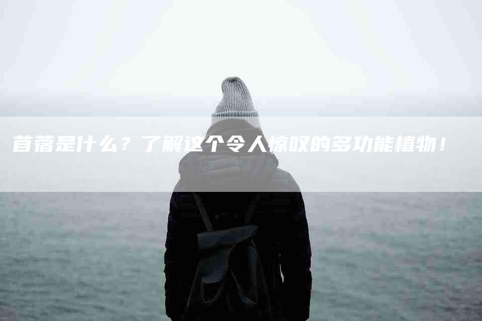 苜蓿是什么？了解这个令人惊叹的多功能植物！-住家保姆月嫂服务_家政保洁钟点工家政服务_速上门月嫂网首页