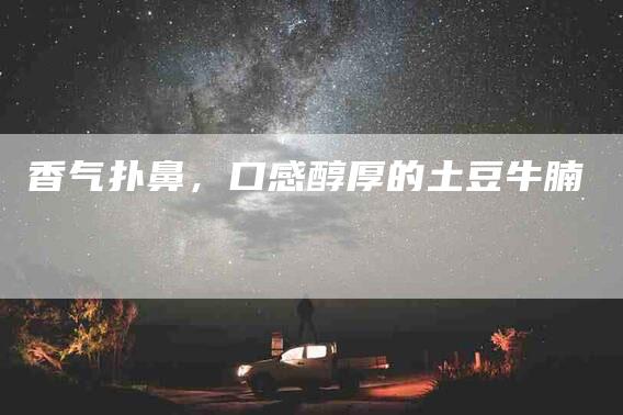 香气扑鼻，口感醇厚的土豆牛腩