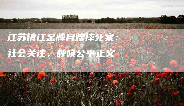 江苏镇江金牌月嫂摔死案：社会关注，呼唤公平正义