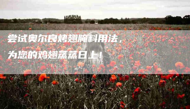 尝试奥尔良烤翅腌料用法，为您的鸡翅蒸蒸日上！-住家保姆月嫂服务_家政保洁钟点工家政服务_速上门月嫂网首页
